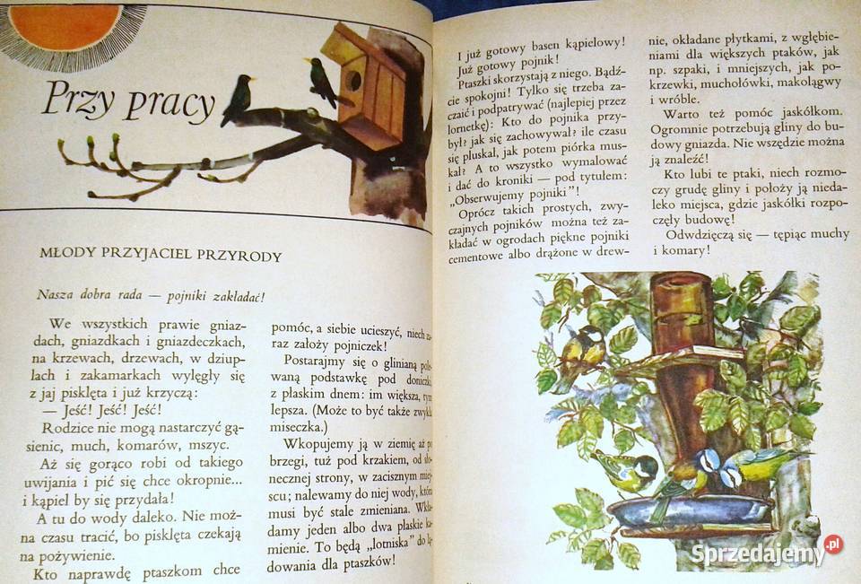 Razem ze słonkiem Wiosna 2 Maria Kownacka miękka Chełm