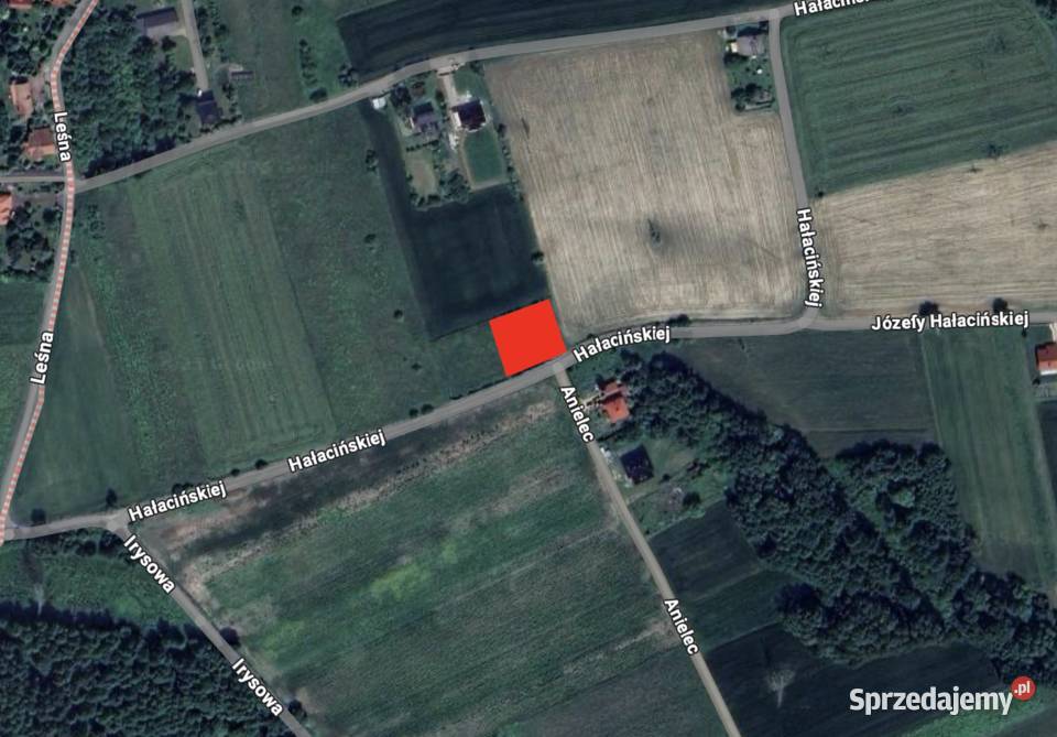 Działka 12 arów 1200 m 24 ary 2400 m Poręba Sprzedaż Poręba Żegoty sprzedam