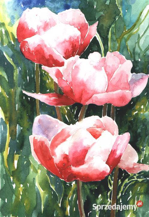 OBRAZ akwarela KWIATY sprzedam