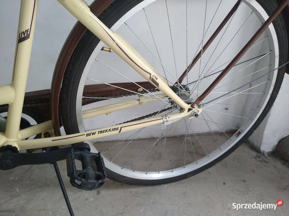 Rower damka Goetze kola 28