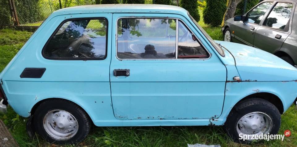 126p turchese farfalla 463 1230km 126 Bieliny