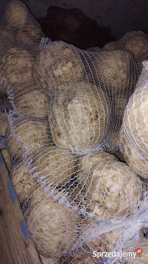 Seler myty 500 Malkowice