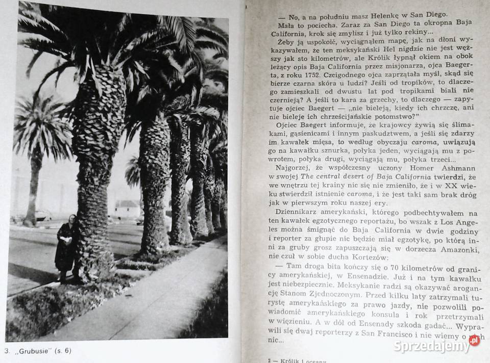 Królik i oceany Melchior Wańkowicz Chełm