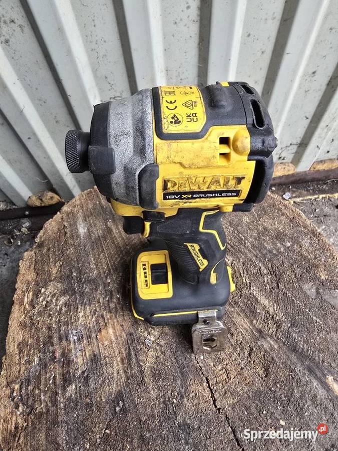 Dewalt zakrętarka Dom i Ogród Krzewina