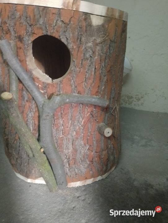 Amazonka budka lęgowa Wodzisław Śląski