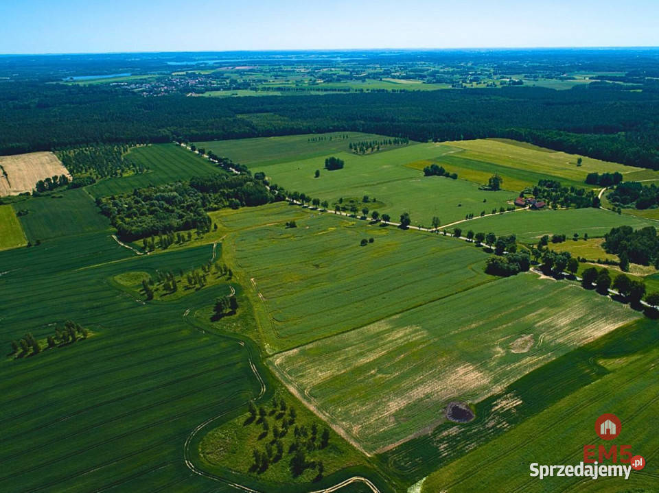 Działkę sprzedam 3030 metrów Harsz prąd