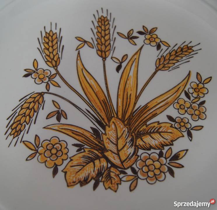 Rustykalny talerz obiadowy płytki Porcelana i szkło Chojnice
