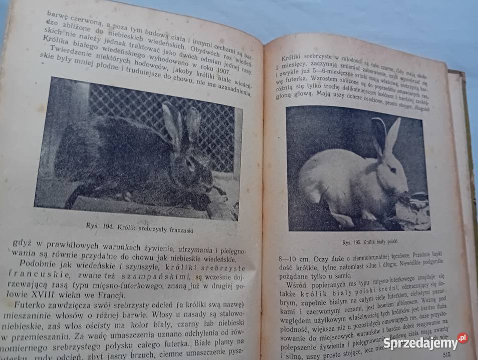 Przewodnik działkowca PWRiL 1954 r Wydanie I Koźminek
