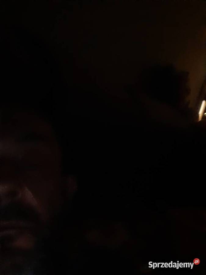 Króliki Lwie głowy łódzkie Zgierz