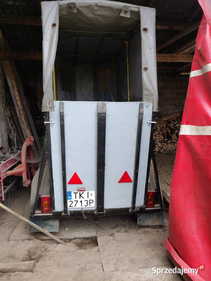 Przyczepa na jednego konia