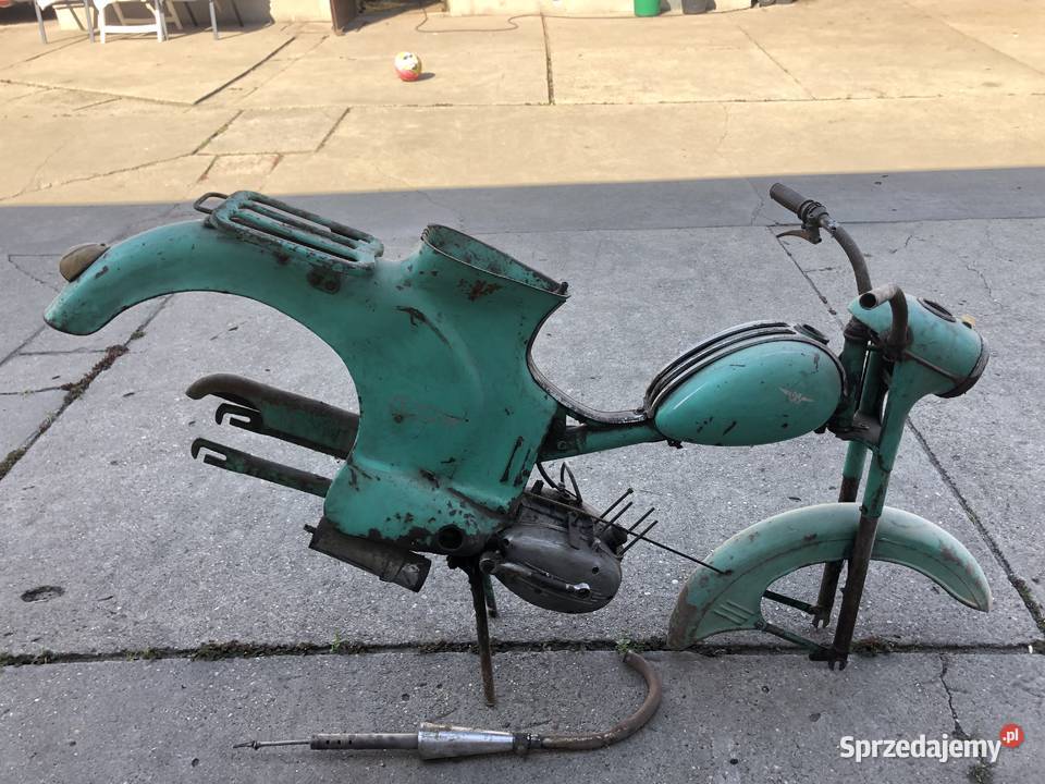 Komar Ryś opolskie Kosorowice