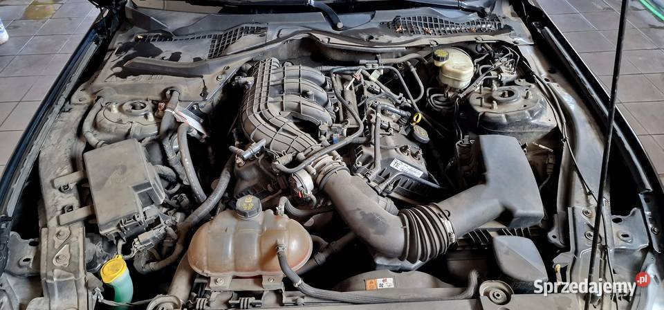 Ford Mustang śląskie Tarnowskie Góry