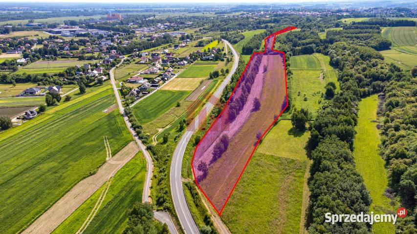 Sprzedaż działki 37700m2 Ropczyce 37700m2 Sprzedaż