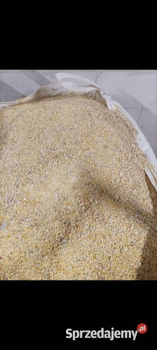 Kukurydza gnieciona pasza kur wysyłka małopolskie sprzedam