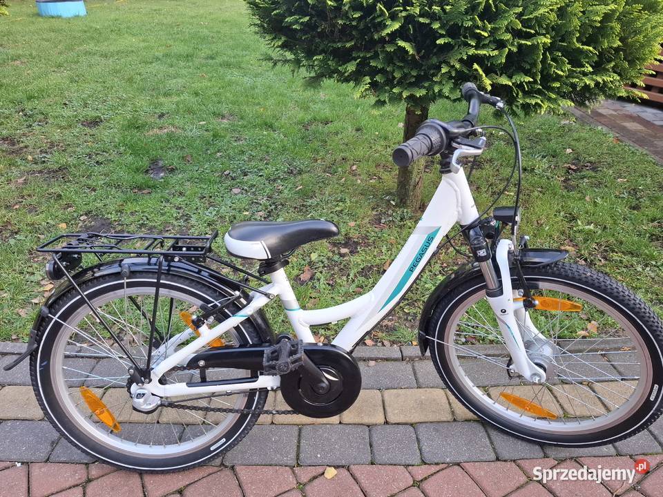 Rower dzieciecy Pegasus