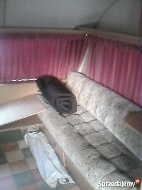 PRZYCZEPA KAMPINGOWA Kempingowe sprzedam