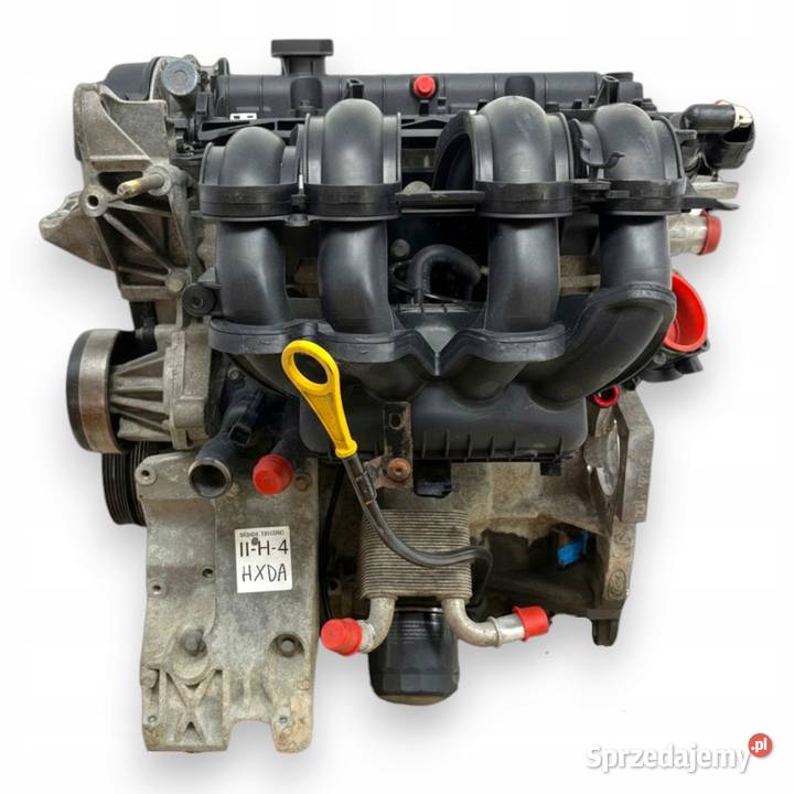 SILNIK HXDB Ford Focus II MK2 C C 16 16V Ti HXDA Chełm