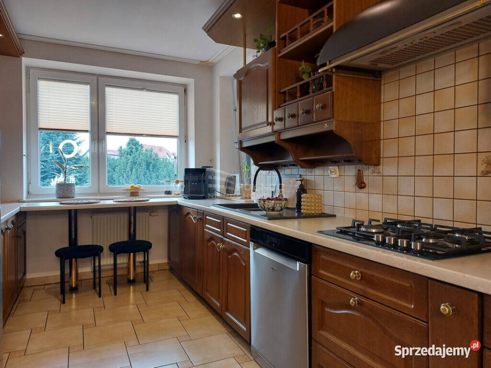 Dom podwójny garaż działka 23 ary w Piszczacu wolnostojący