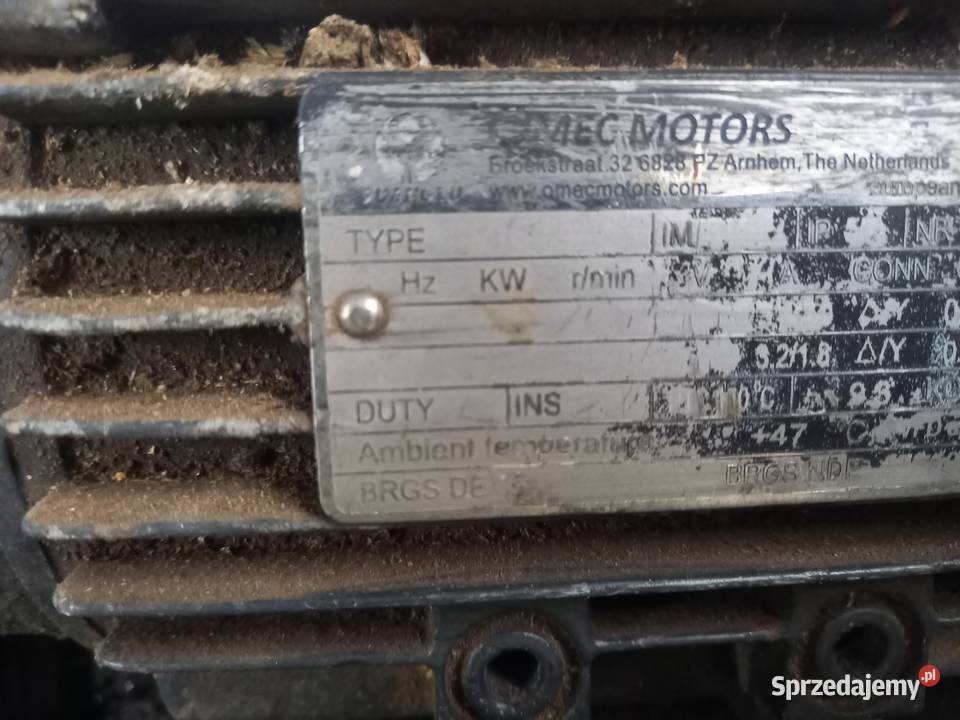 Nacinaki taśmociong Strzelno