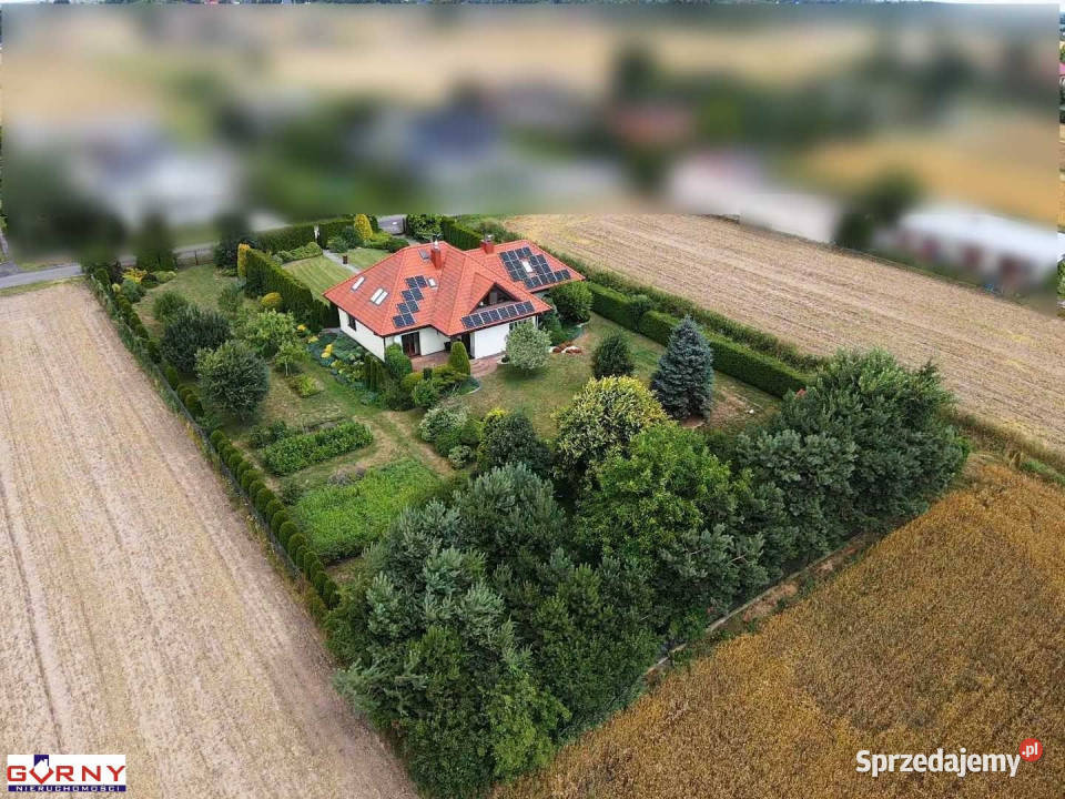 sprzedaży domu wolnostojącego Majków Duży 260m2