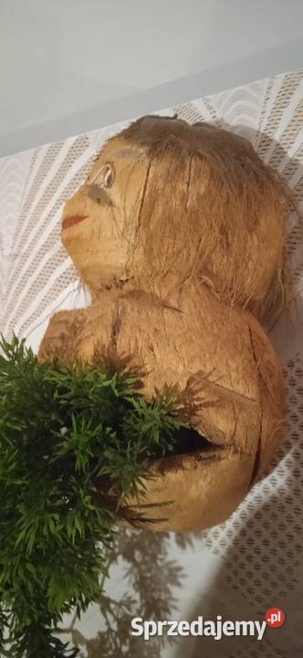 Stara rzeźba z kokosa dolnośląskie Świdnica