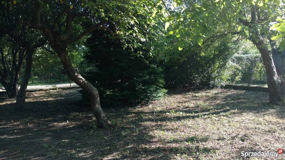 Działka ROD Warszawa Jedność 500 m2 na sprzedam