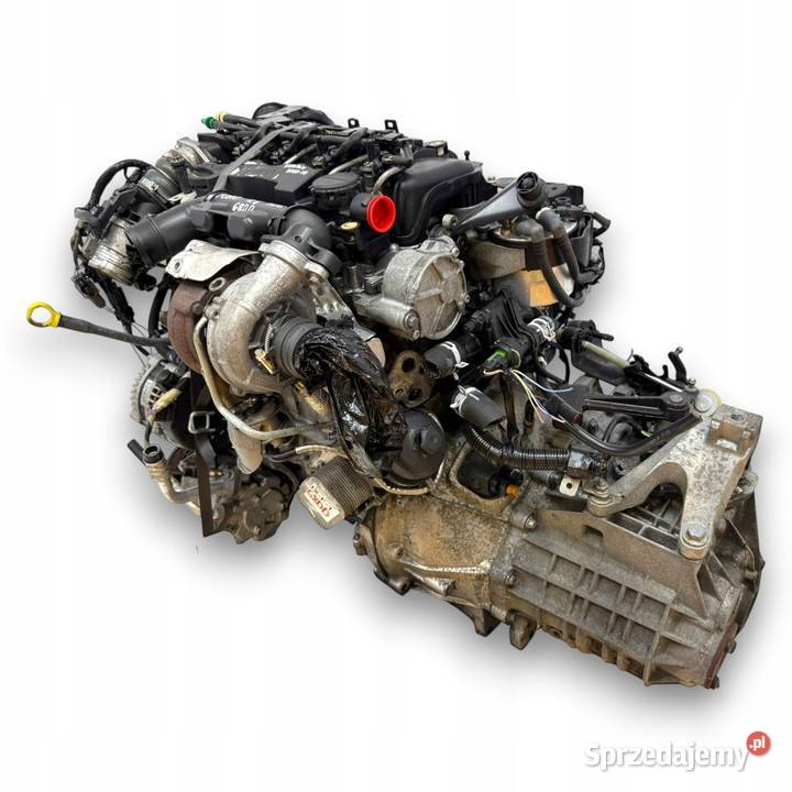SILNIK KOMPLETNY G8DD Ford Focus II MK2 C C 16 Chełm