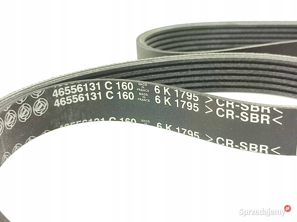 PASEK WIELOROWKOWY ALFA ROMEO 145 19 JTD 9901