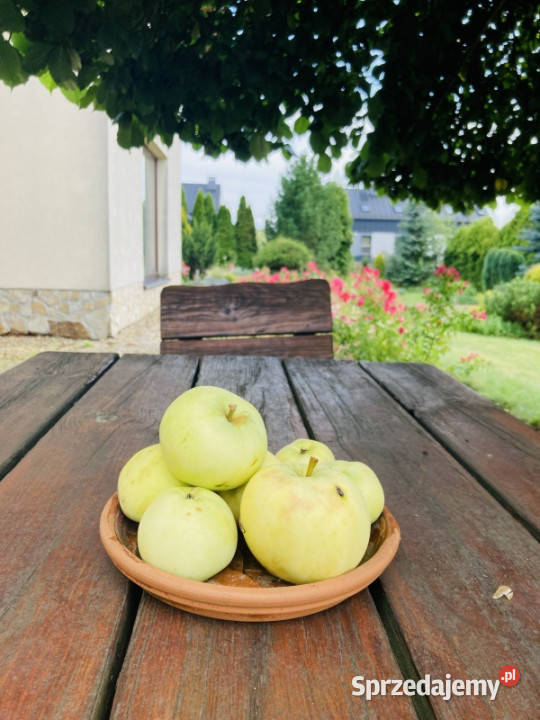 Sprzedam 300metrowy dom w Budzyniu kKryspinowa