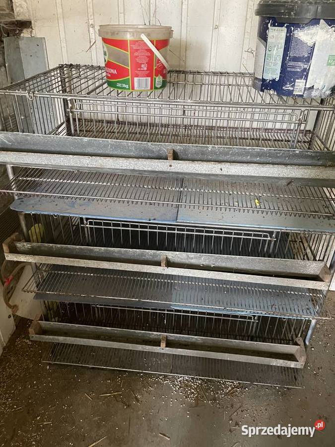 Przepiórki z klatkami Rzeszów