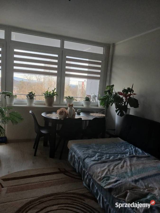 Wynajmę pokoj na osiedlu świętokrzyskim Mieszkania sprzedam