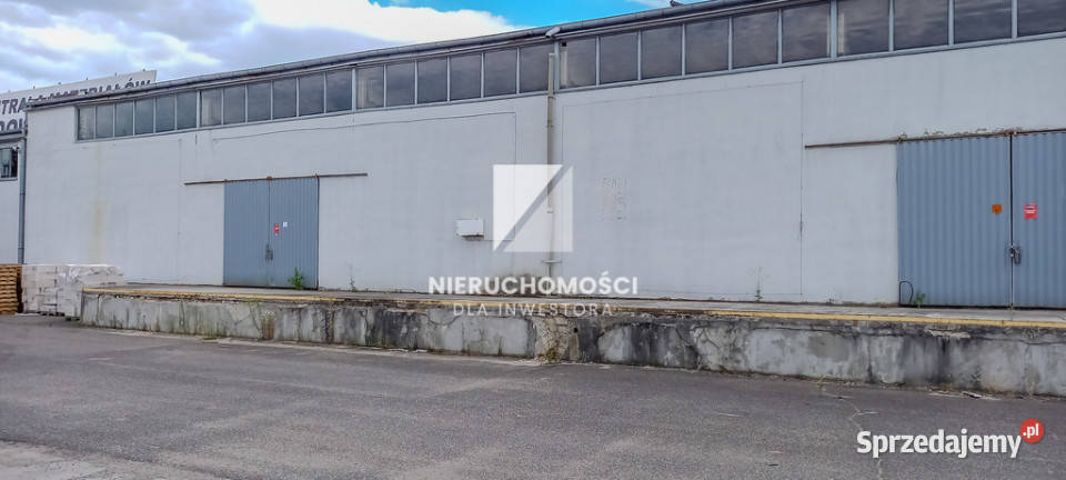Hala magazynowa 810 m S3 4 bramy rampa Gorzów Wielkopolski sprzedam