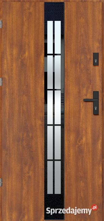 Nowe drzwi THERMO TEMPER GLASS 8 Częstochowa sprzedam