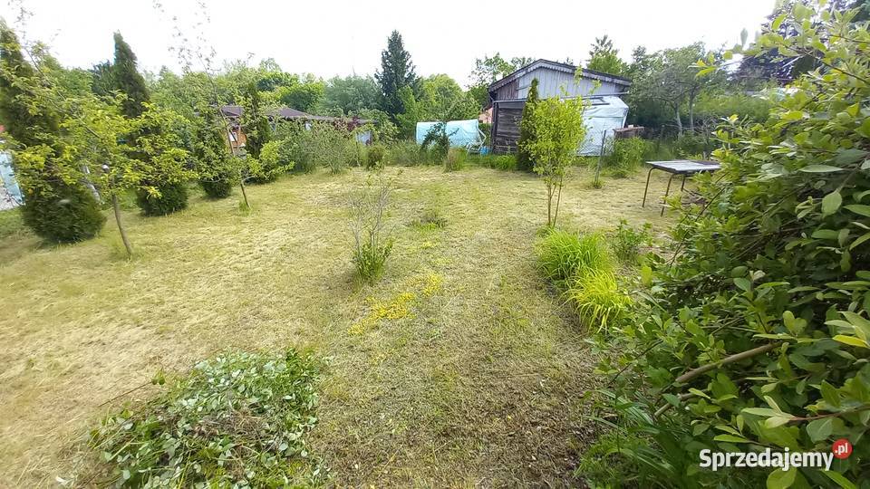 Działka rekreacyjna ROD Słonecznik Myki