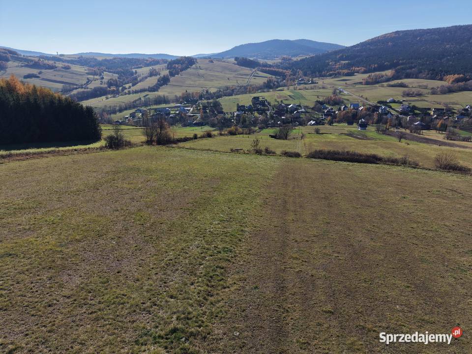 Widokowa działka 92 ar Brzezowa 9200m2