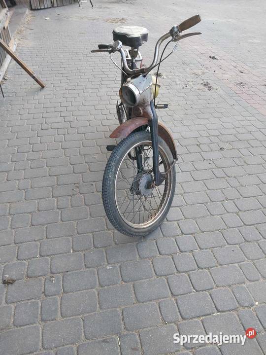 Komar sztywniak 2320 Popów Głowieński