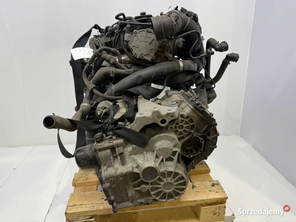 SILNIK CAY CAYD VW Caddy III IV 16 TDI 102 Chełm