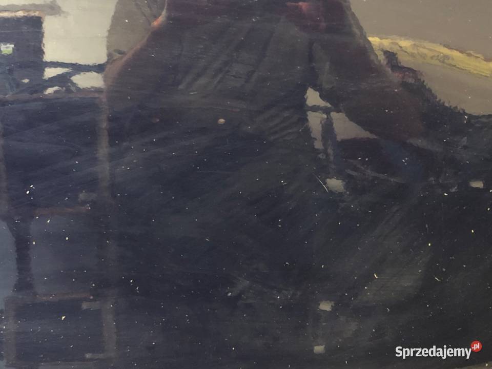 DRZWI LEWY TYŁ DACIA LODGY Minivan