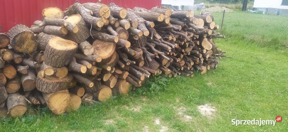 Drzewo kieszeni Leśnictwo Frysztak