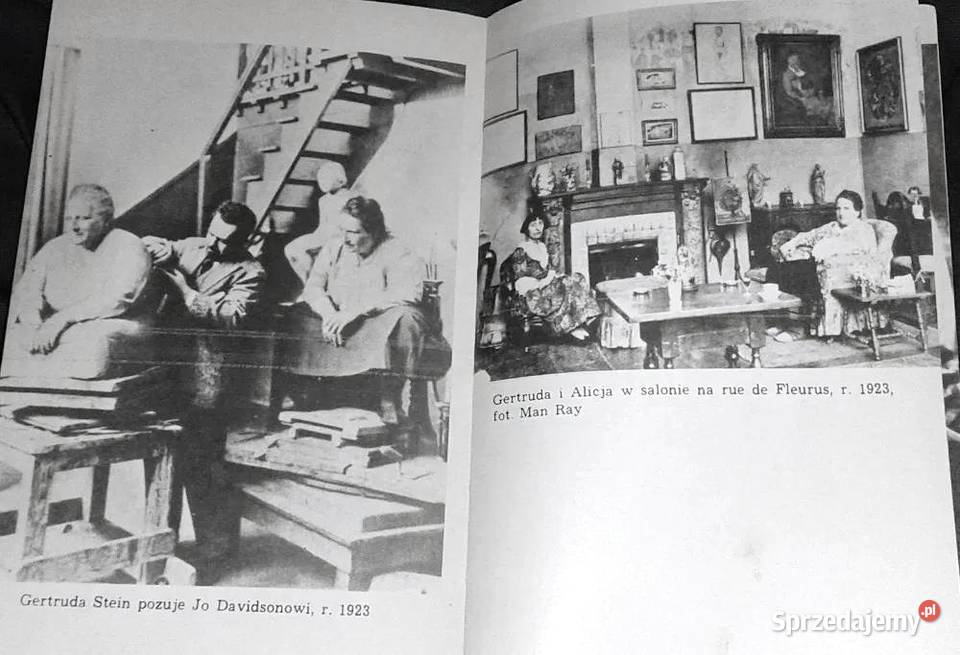 Gertruda Stein Mira Michałowska Chełm