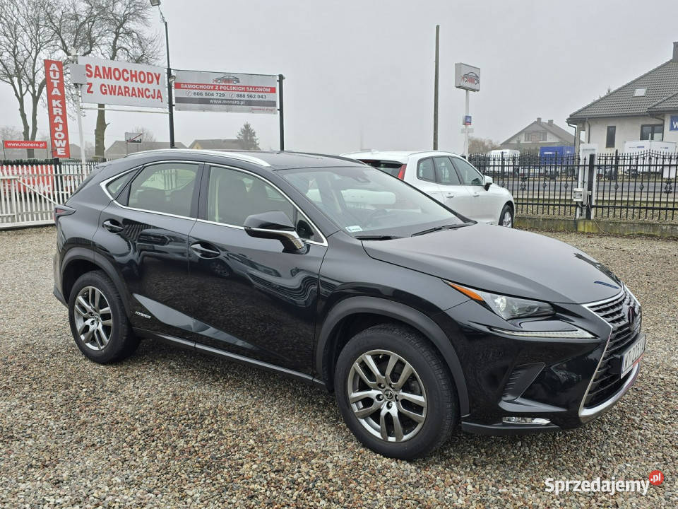 Lexus NX 300h HYBRID AWD 4x4 Elegance Salon napęd 4x4 Włocławek