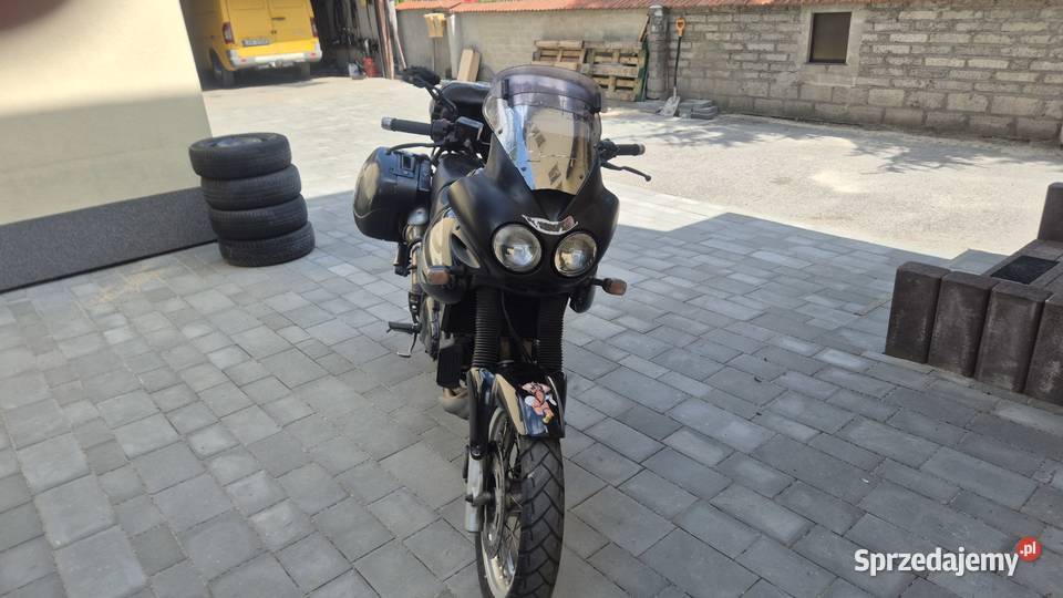 Triumph Tiger lubelskie