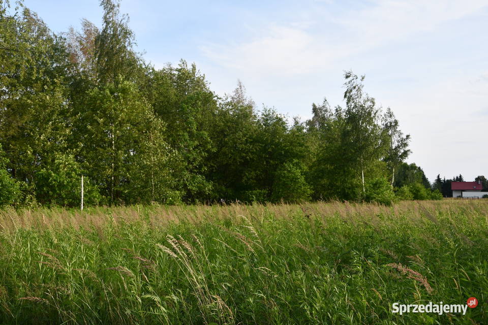 Działki 11a pod zabudowę Rudna Mała