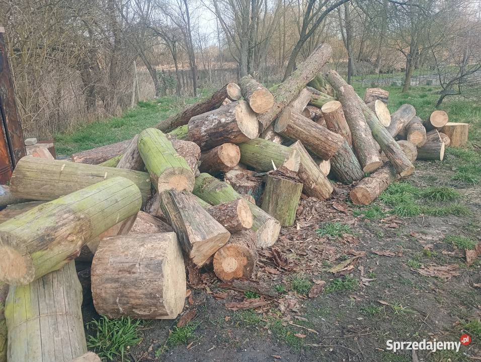 Drewno opałowe kominkowe SUCHE zachodniopomorskie Stargard sprzedam