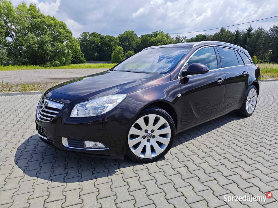 Opel Insignia 20 160 mały przebieg Dębica