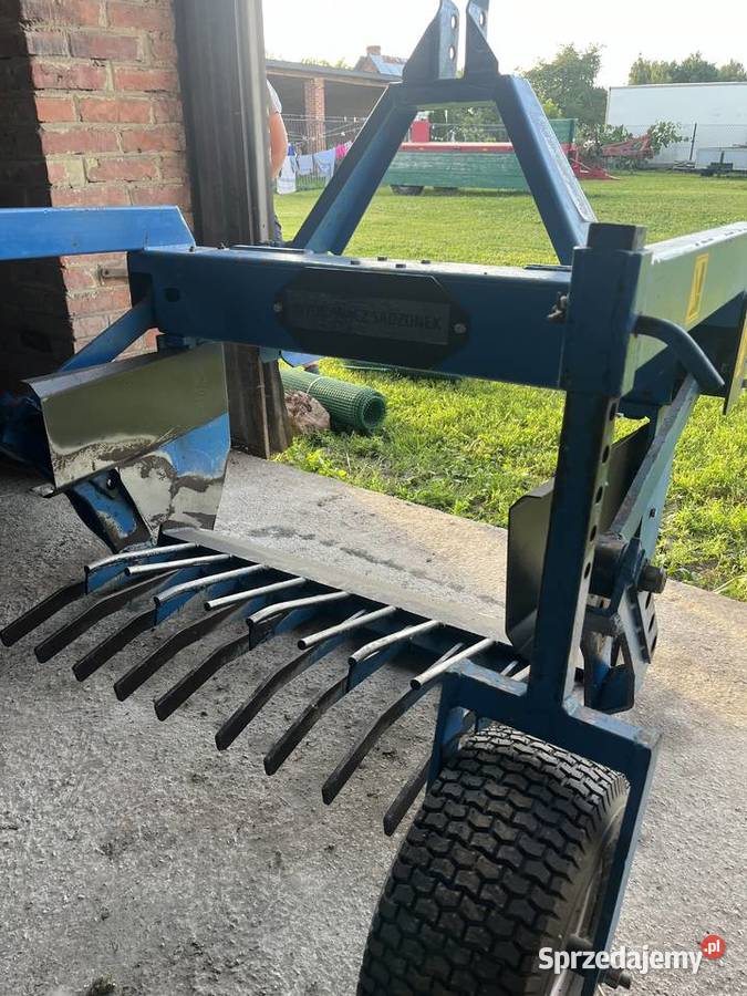 Wyorywacz aktywny szkółkarski lubelskie Kotliny