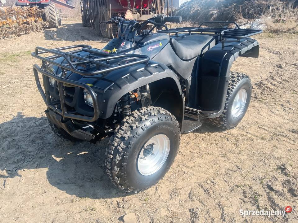 quad traper 250 nowe opony transport