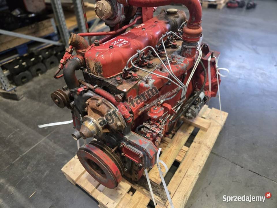 Silnik Case Internacional 1255XL DT358 Byków sprzedam