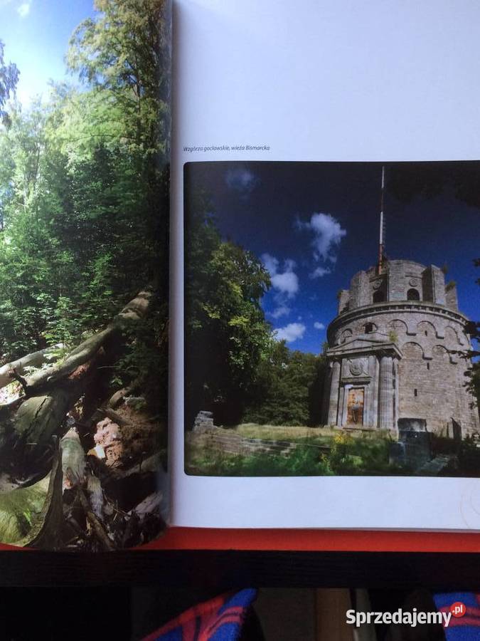 2221 Szczecin W Kwiatach