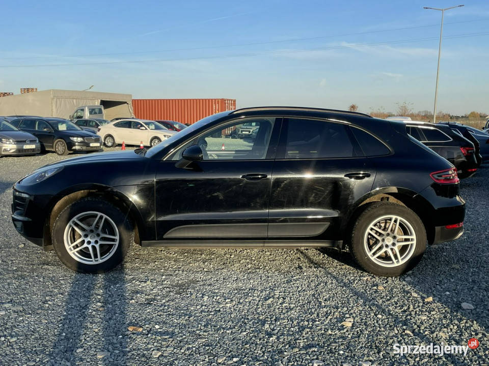 Porsche Macan 20i 252 BOSE alcantara tempomat wspomaganie kierownicy dolnośląskie Wojkowice